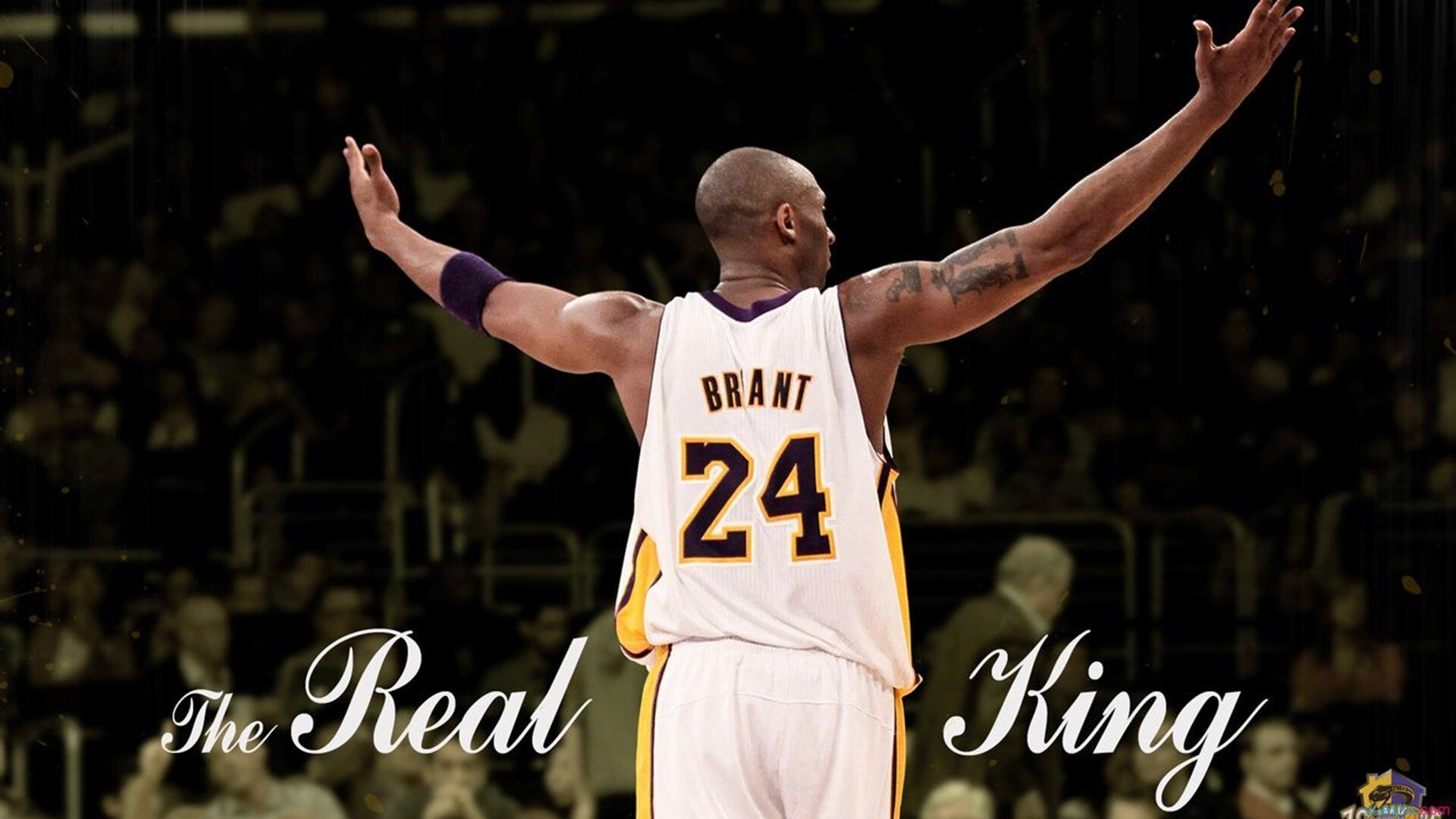 从温网到拉沃尔杯，鲁德的绝杀与纪录刷新，定义网坛新传奇